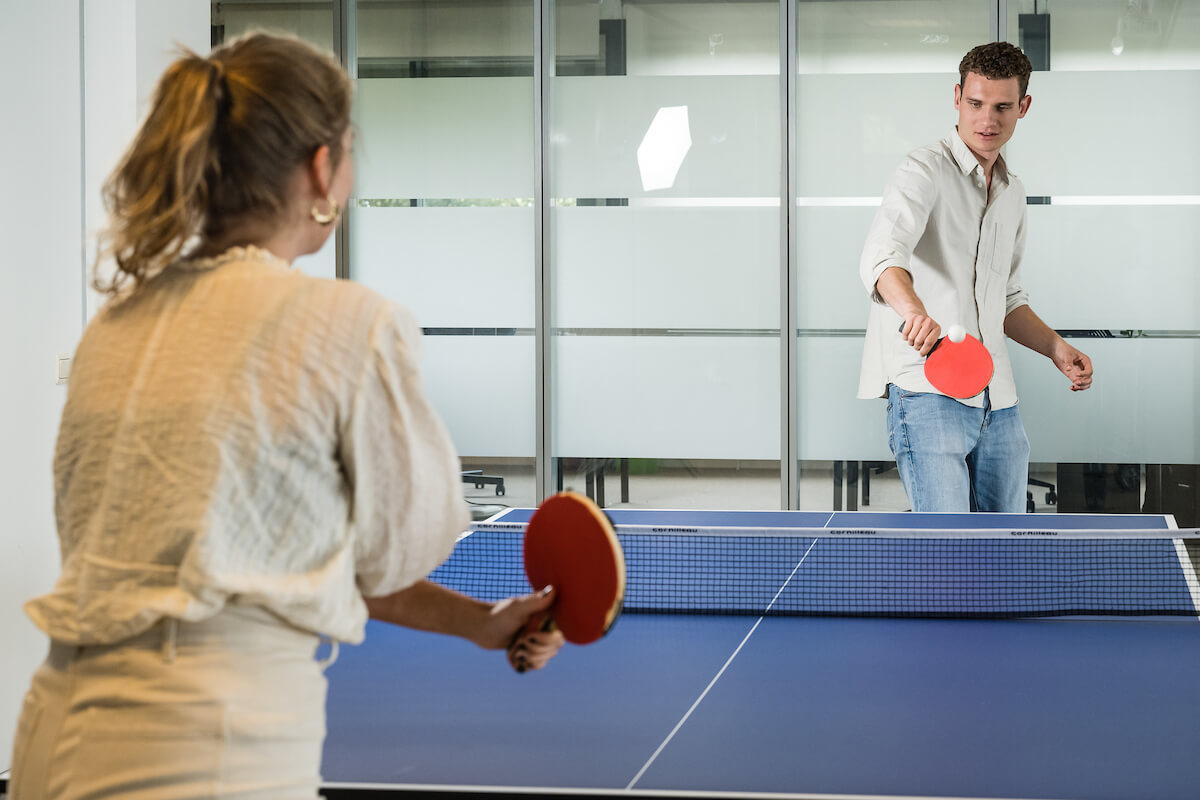 DS - fun pingpong - Michiel 